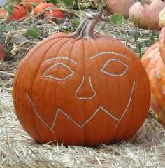 Pre Carved Pumpkin, Nipomo Pumpkin Patch